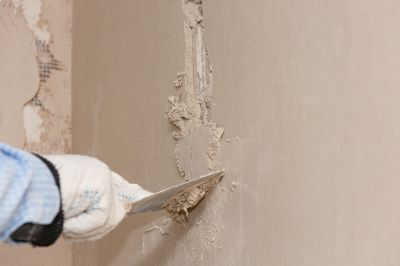 Painting and Wall Repairs